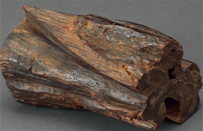 广东宝树通：世界最贵的香，日本叫“伽罗”，中国叫“奇楠”！ - 知乎