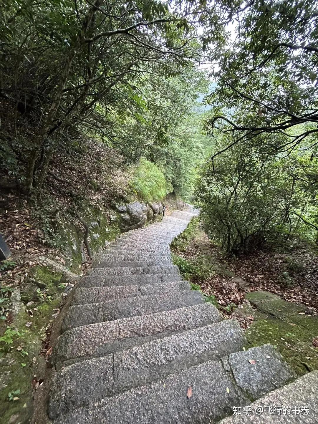 黄山雨中独行记(一):从云谷寺徒步到白鹅岭,一路有啥美景? - 知乎