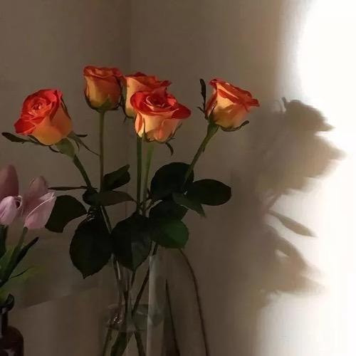 有没有什么惊艳的微信头像?-特别惊艳到人的微信头像