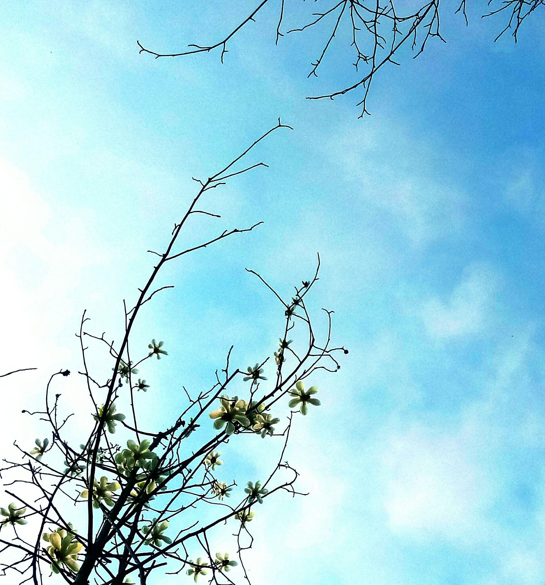 在校大学生如何赚钱?