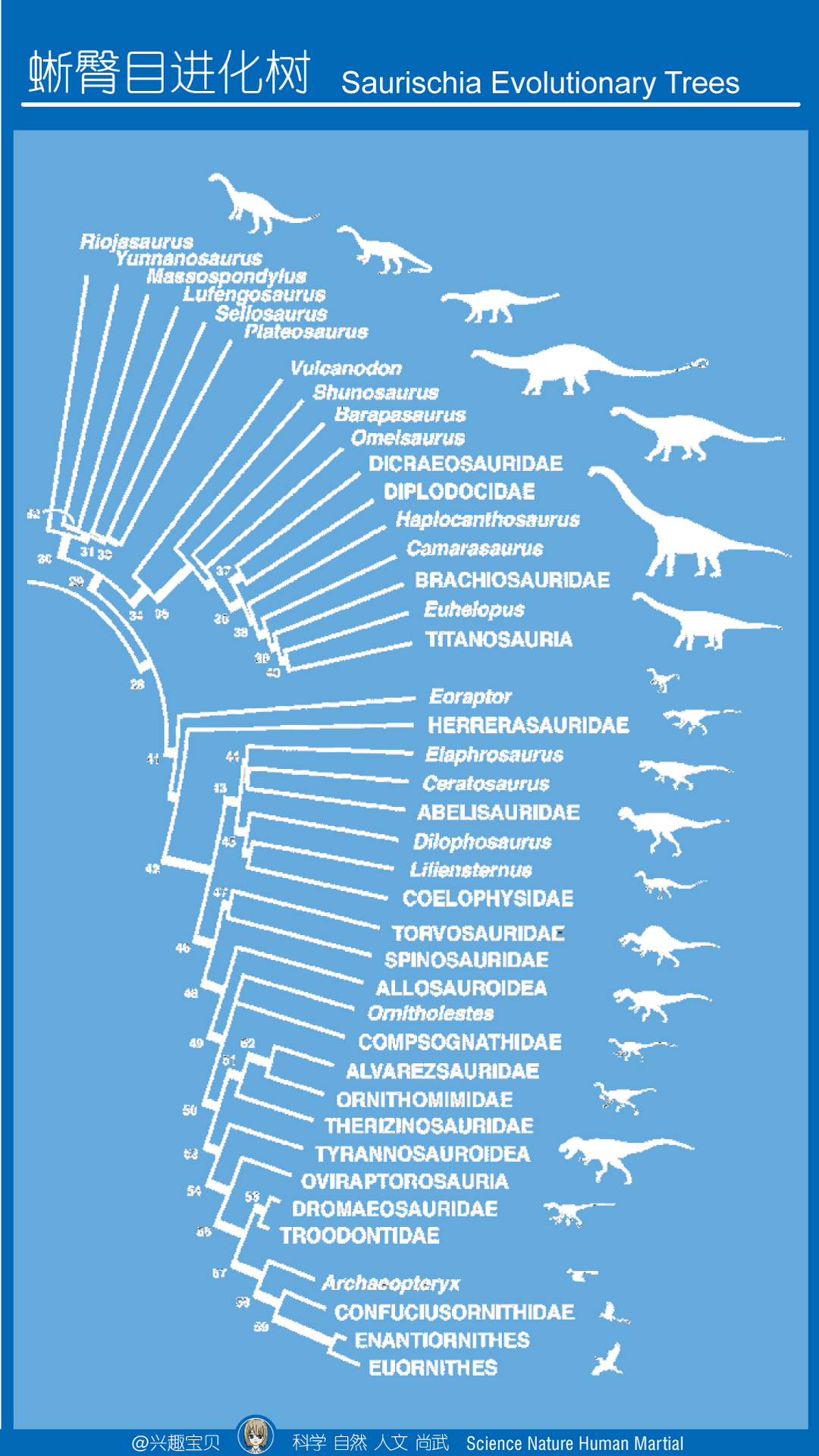 恐龙的种类有哪些?