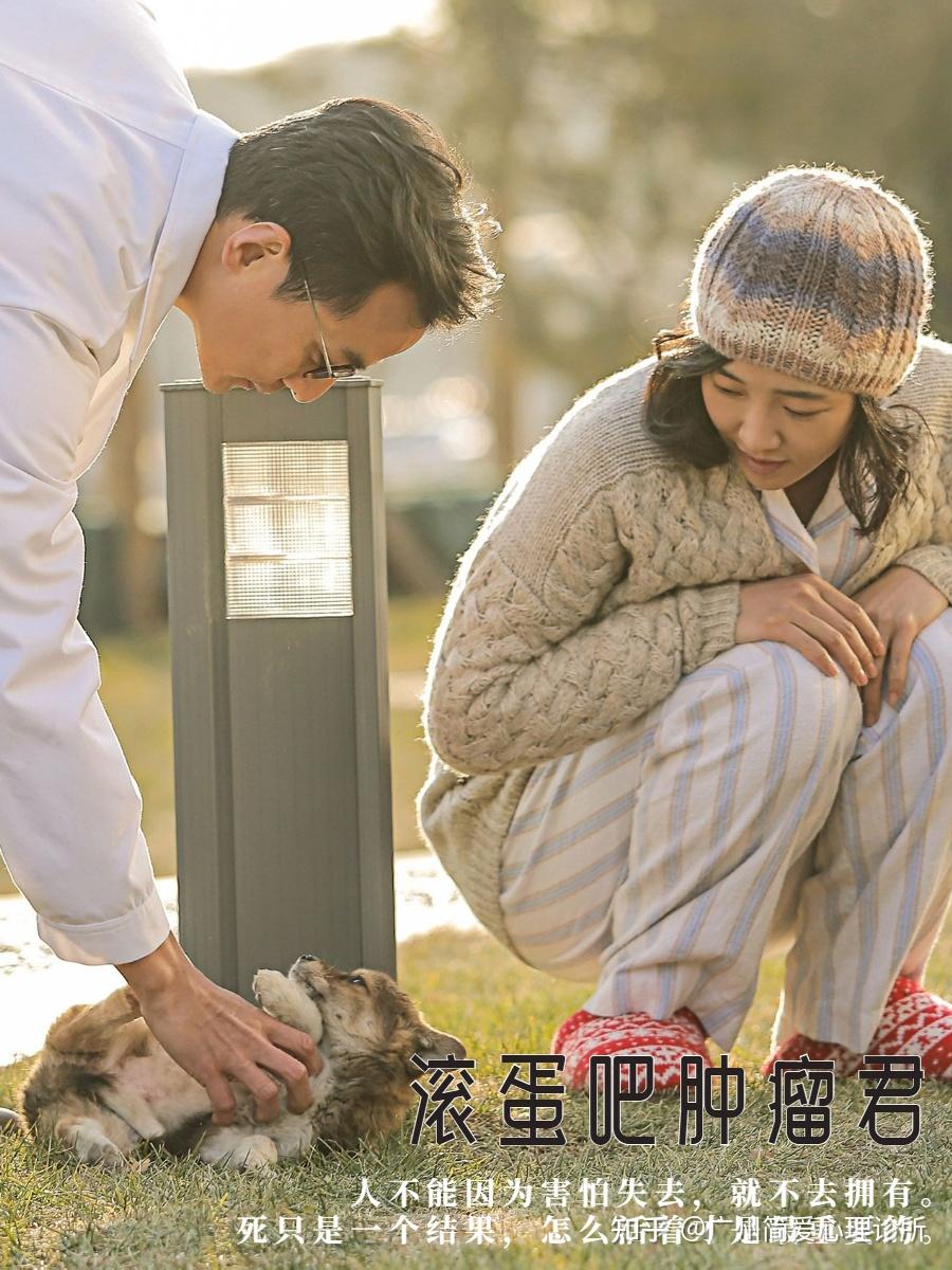 电影推荐🐌没有力量的时候来看这些作品 - 知乎