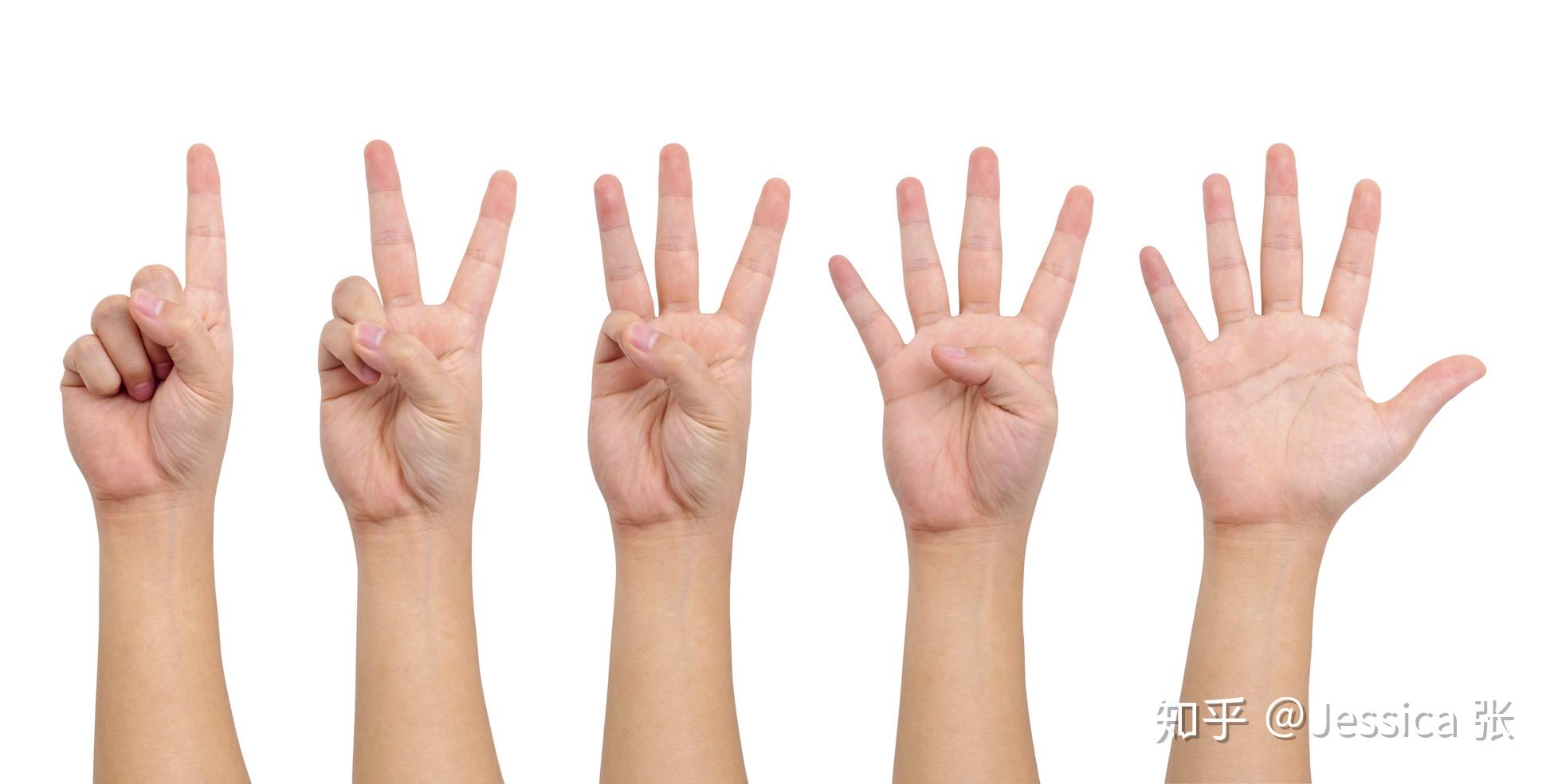 如何培养孩子的数感和逻辑体系3手指感知