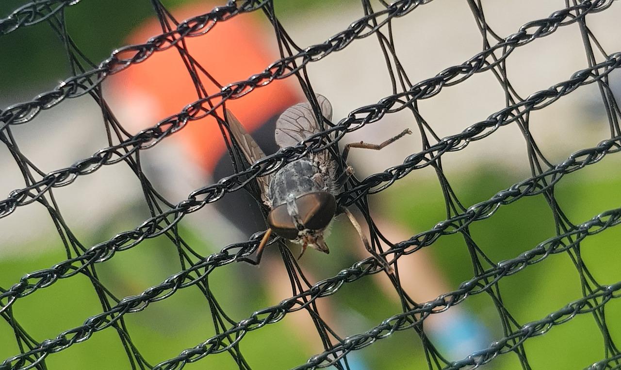 5. 高清变焦体验