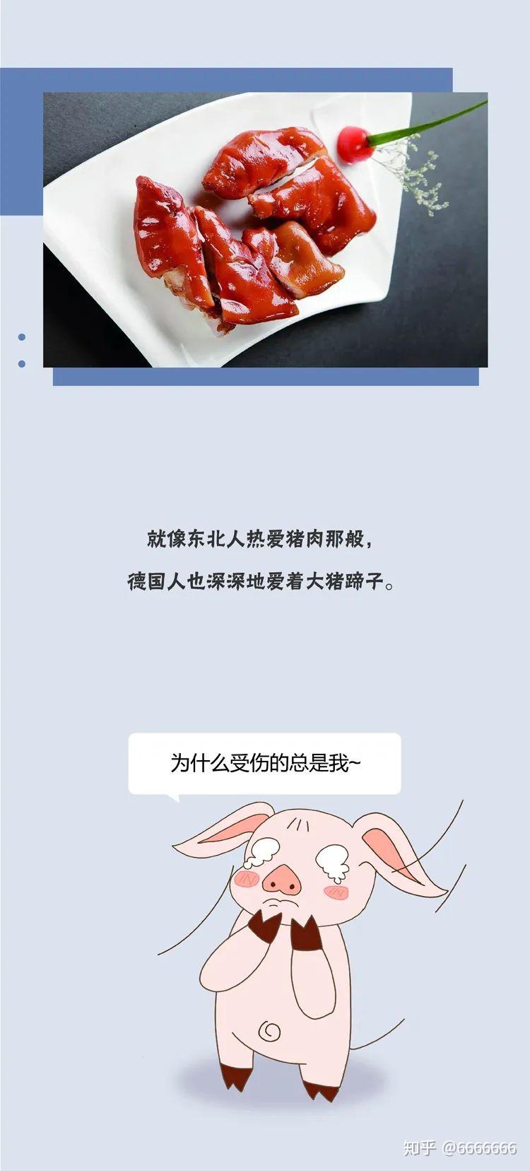 德国也爱东北菜翠花上酸菜