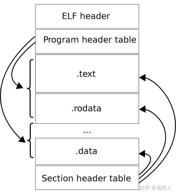 read elf file header