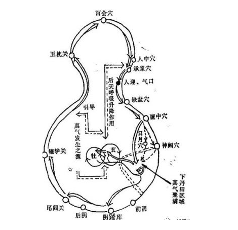 顛竅生精激活會陰竅的重要性