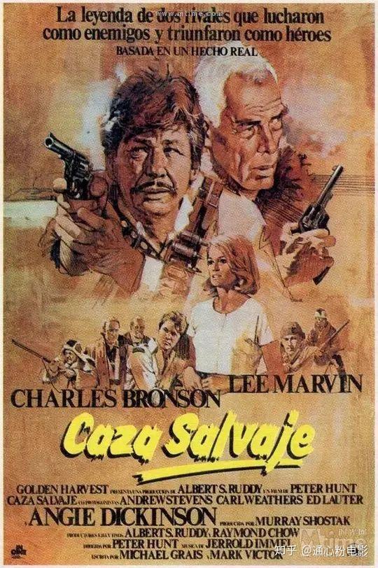 8部冷门精彩西部片