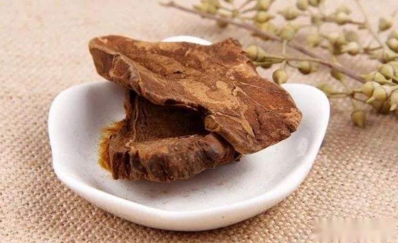 人还未老,腰已先老?3味中药补肝肾,强筋骨,送给腰酸背痛的你 - 知乎
