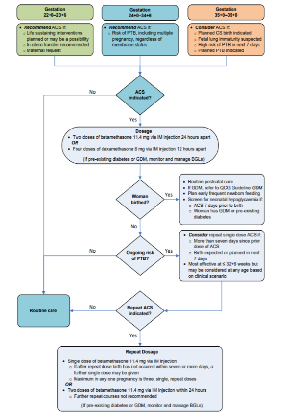 2021年8月,昆士兰卫生组织(qld)发布了产前糖皮质激素(antenatal