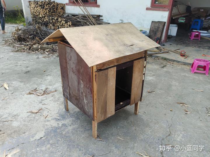 人，可以废物到什么程度？