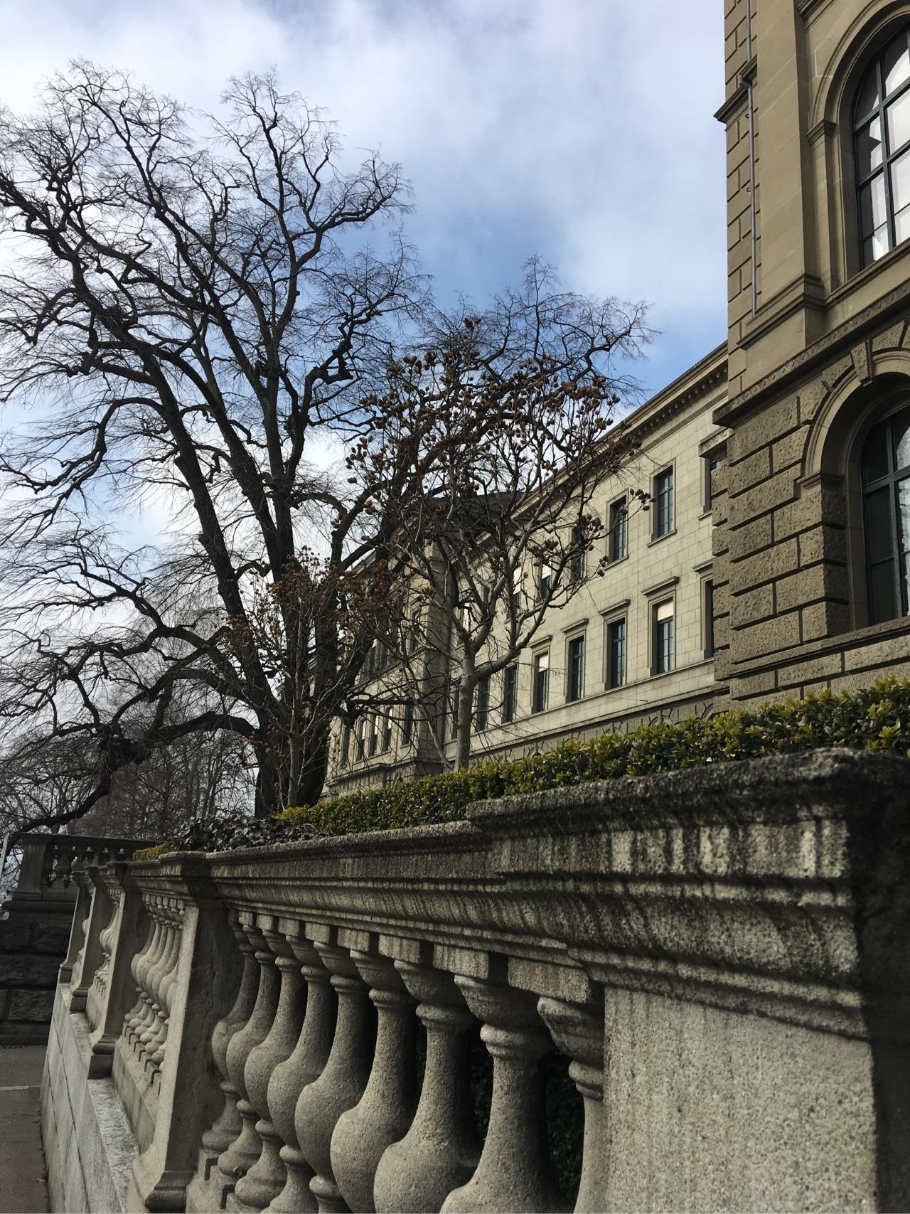 在苏黎世联邦理工学院 (eth zurich) 就读是怎样一番体验?