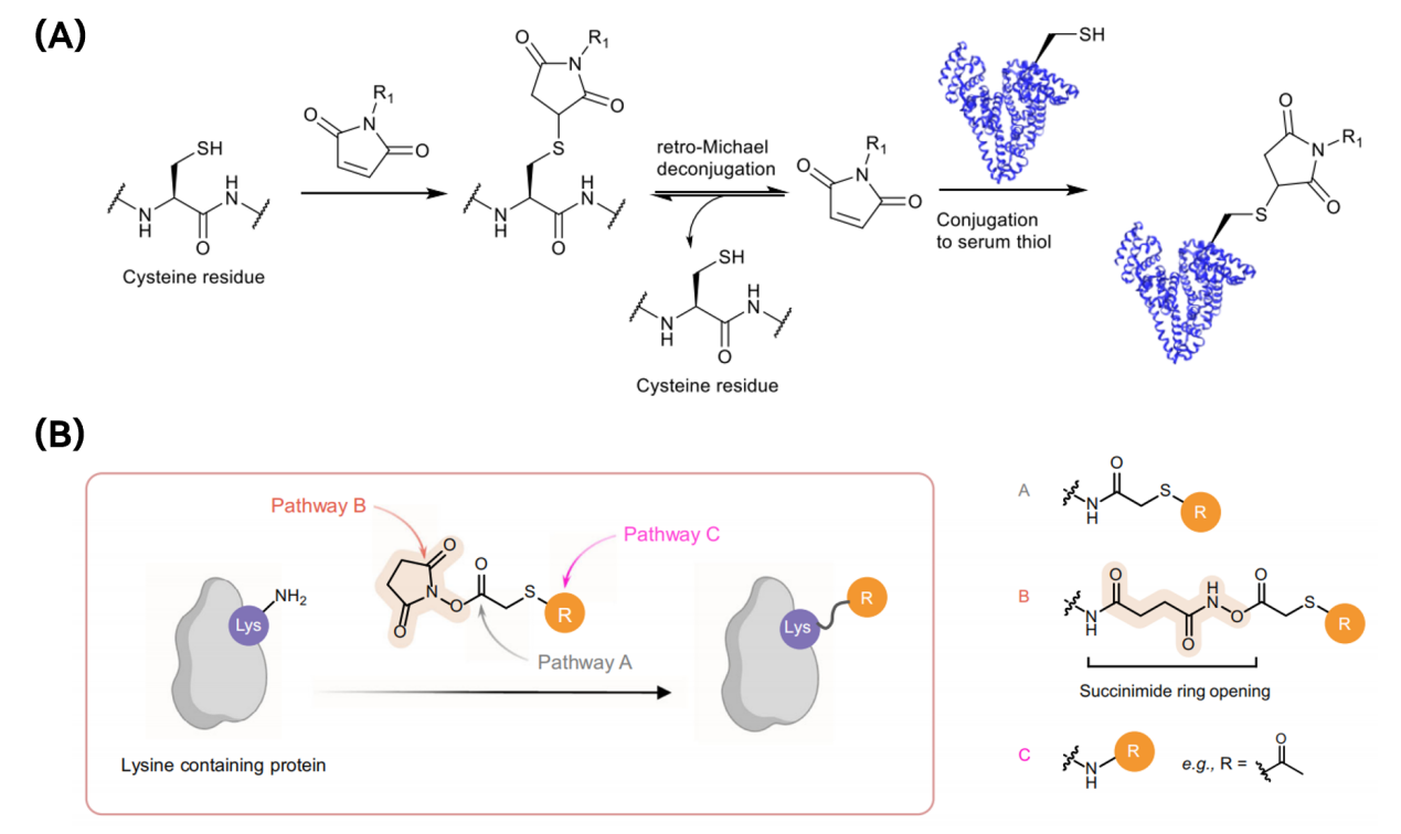ADC 小分子杂质控制的行业实践与限度设定策略- 知乎