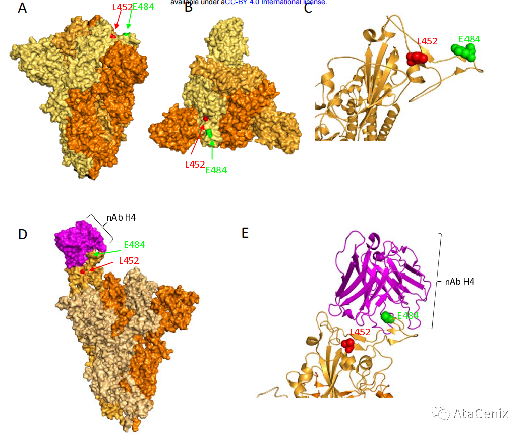 印度双突变体来袭疫苗还用打吗