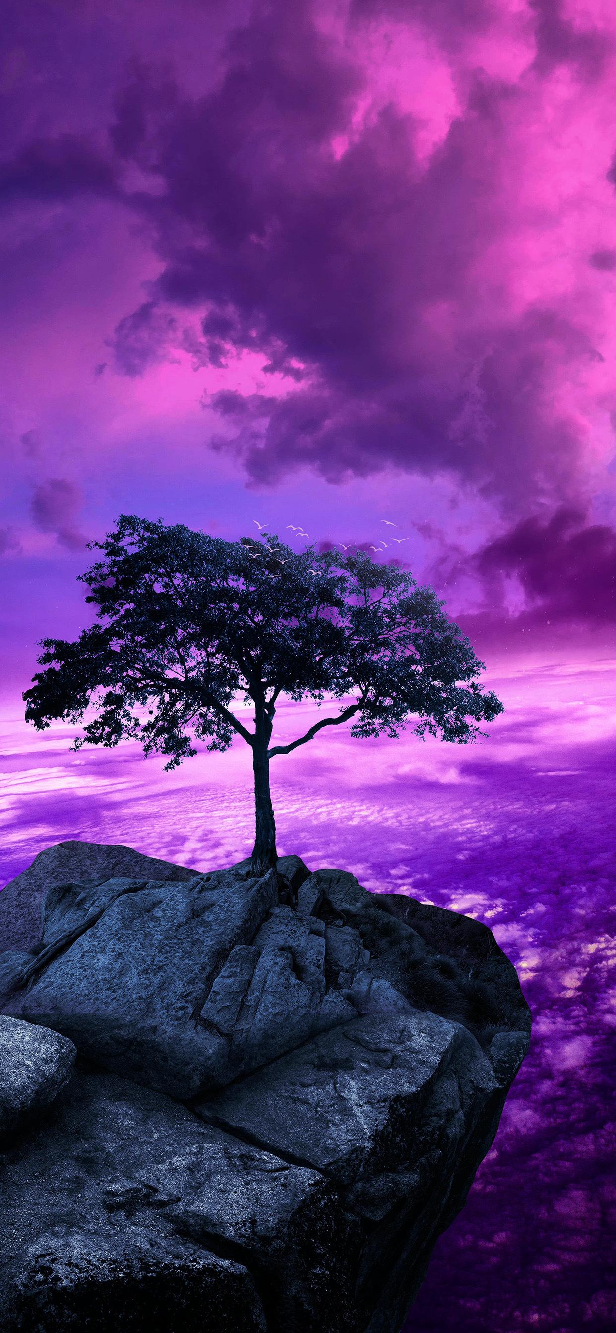 紫色高清风景壁纸 - 知乎