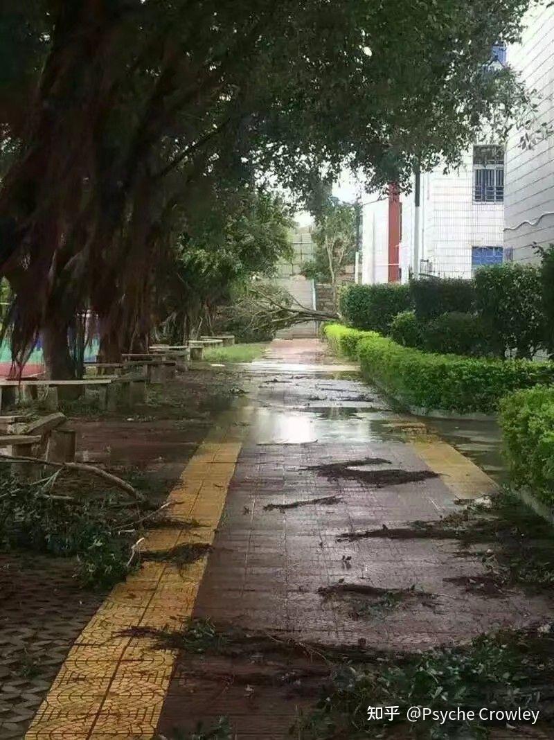 在石狮市永宁中学就读是一种什么样的体验