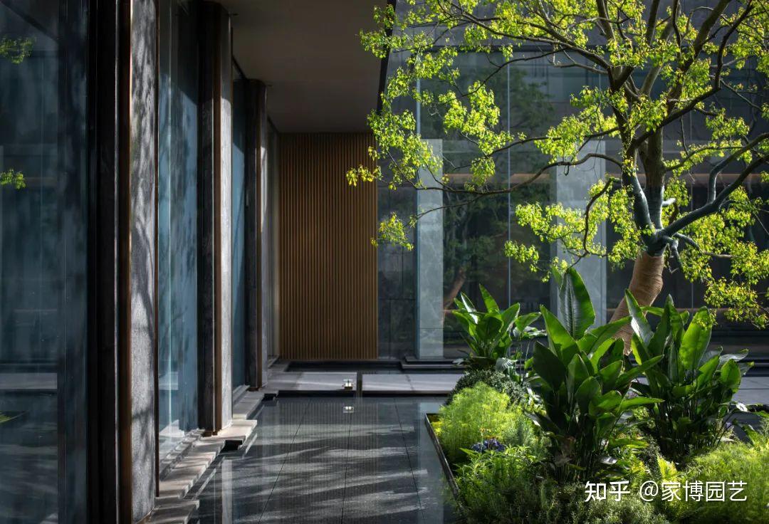 家博园艺|下沉式庭院,圆您别样的花园梦想 - 知乎