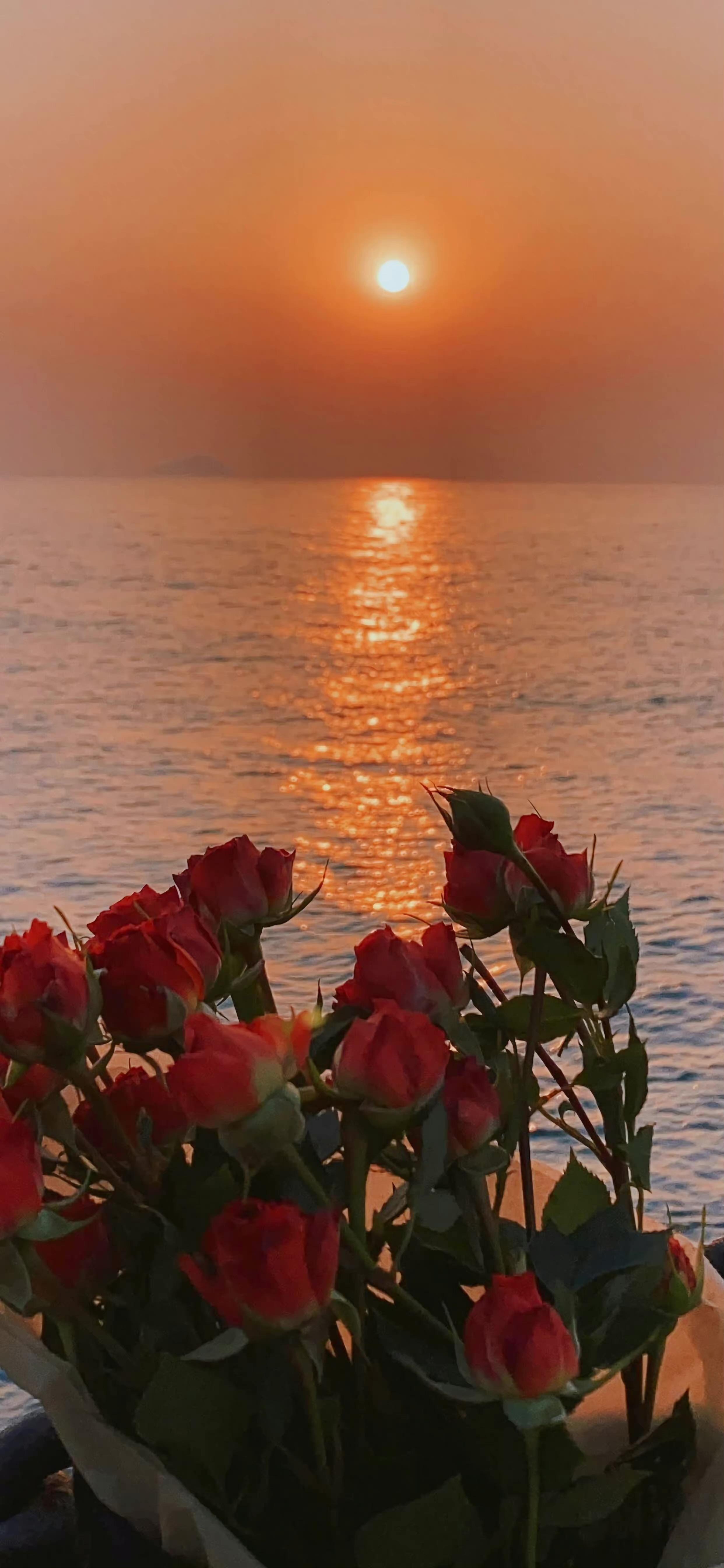 有哪些适合iphone11用的高清壁纸