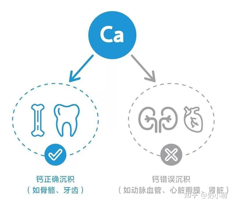 如何选择钙剂，科学补钙~ 知乎 