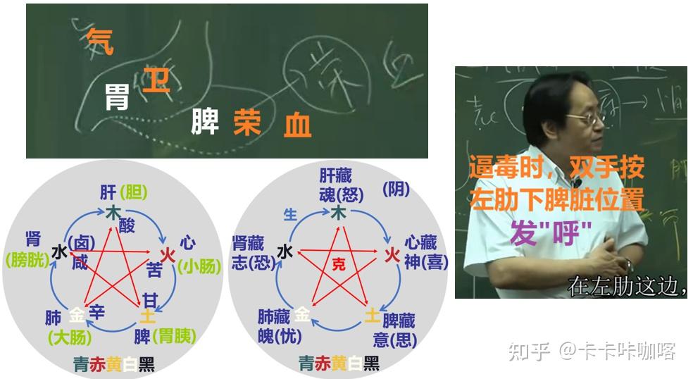 【中医学习】针灸大成9 - 足太阴脾经 - 知乎
