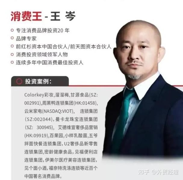 王岑先生为什么不做vc做金融课呢