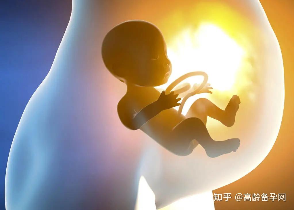 产检5次都未能发现胎儿畸形,30周孕妈含泪引产