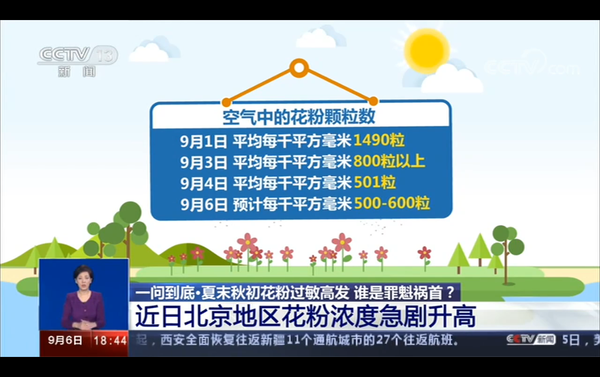一问到底 夏末秋初花粉过敏高发 谁是罪魁祸首 知乎
