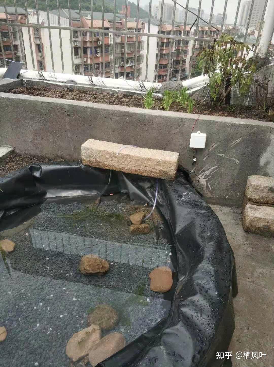 在露台整个小水池