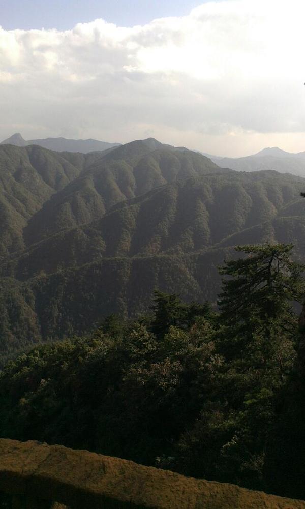 山不在高,有山珍则名.安徽岳西大歇不为人知的事儿(三)