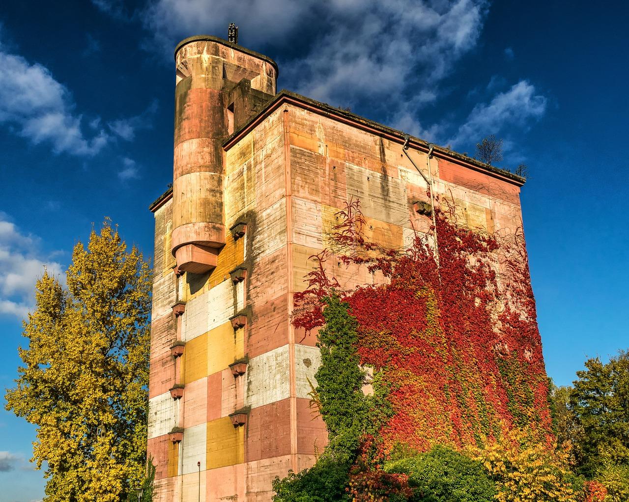 5. 自由仓与仓储