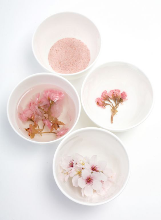 盐渍樱花 图源于网络