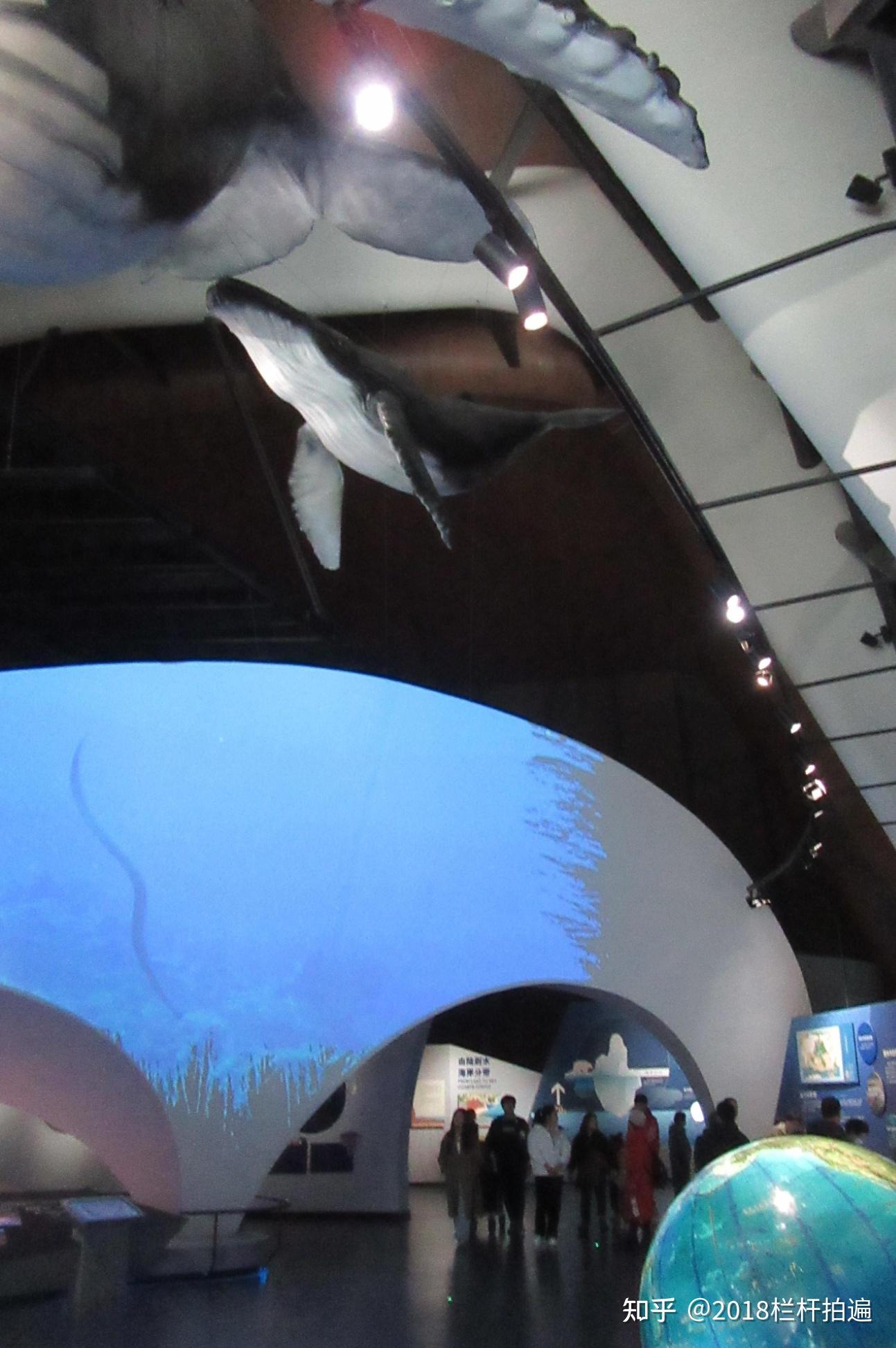 天津:打卡"天津·国家海洋博物馆"(2)