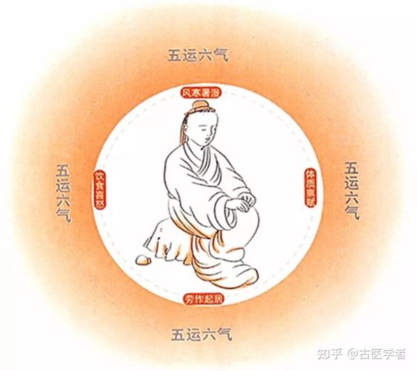 精气血津液 - 知乎