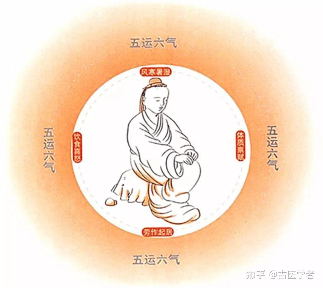 精气血津液 - 知乎