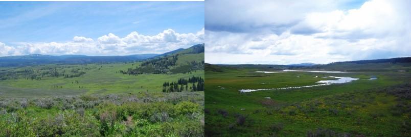 想去美国公路旅行甚至是横穿美国,怎样入手做自驾游计划比较好?