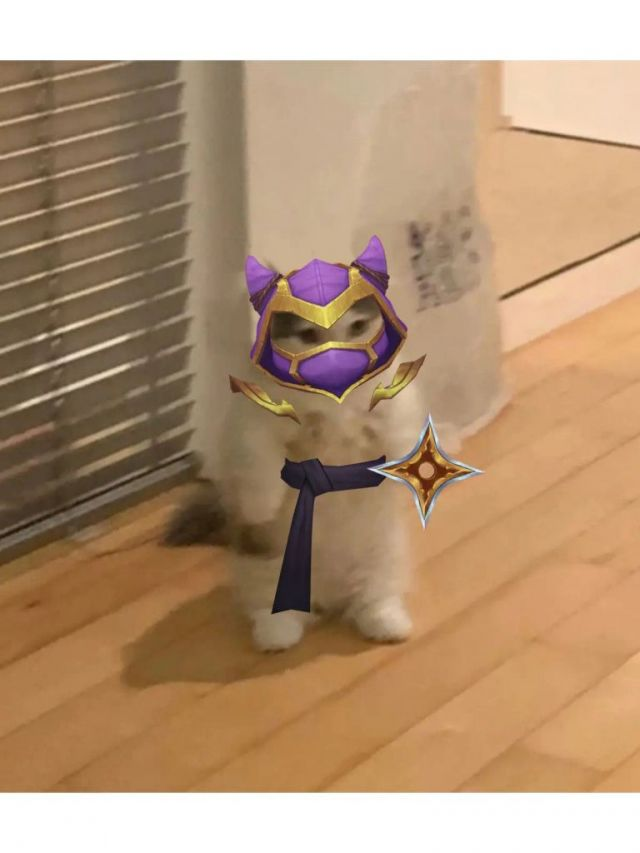 你都有哪些英雄联盟魔法猫咪的表情包