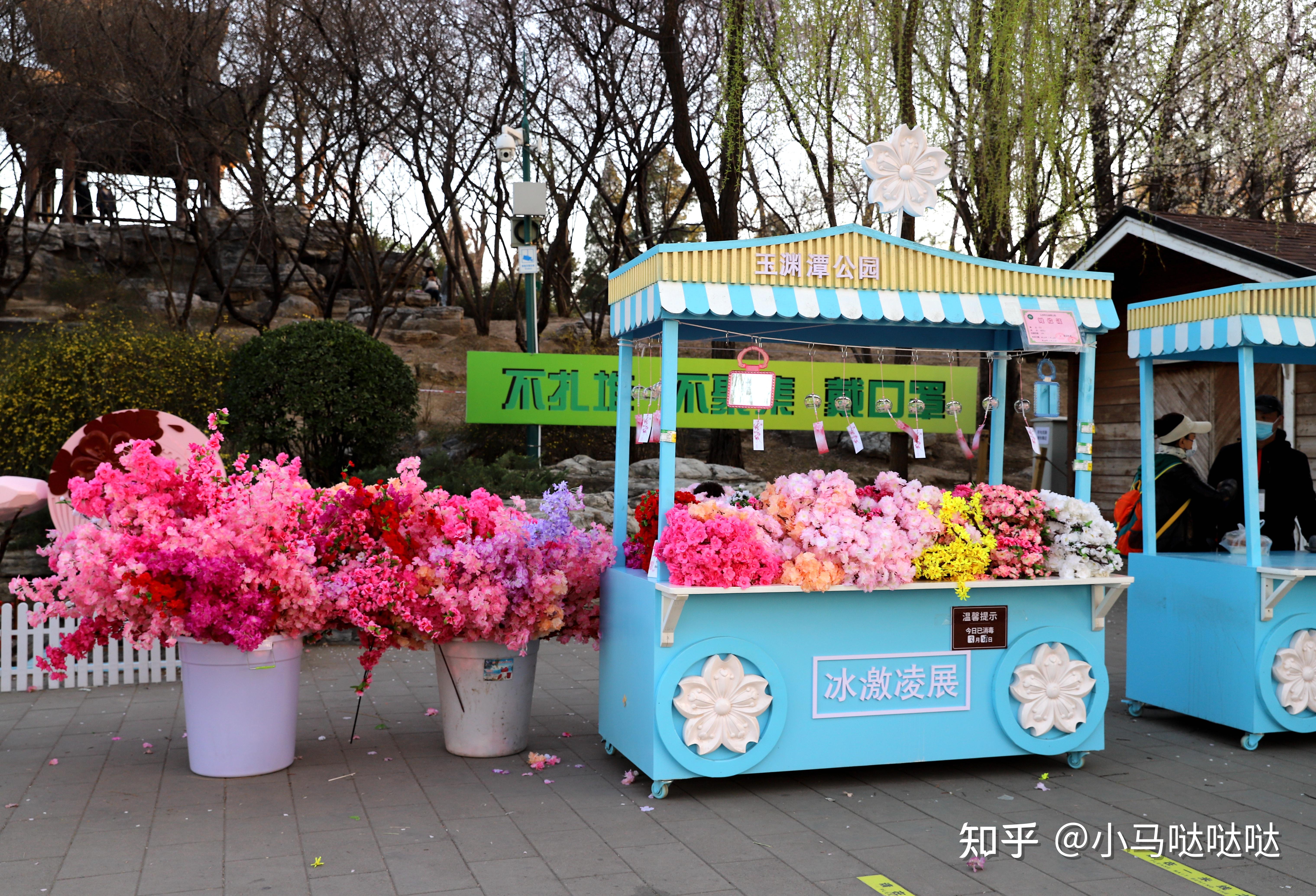 2022年玉渊潭公园春季花展游记