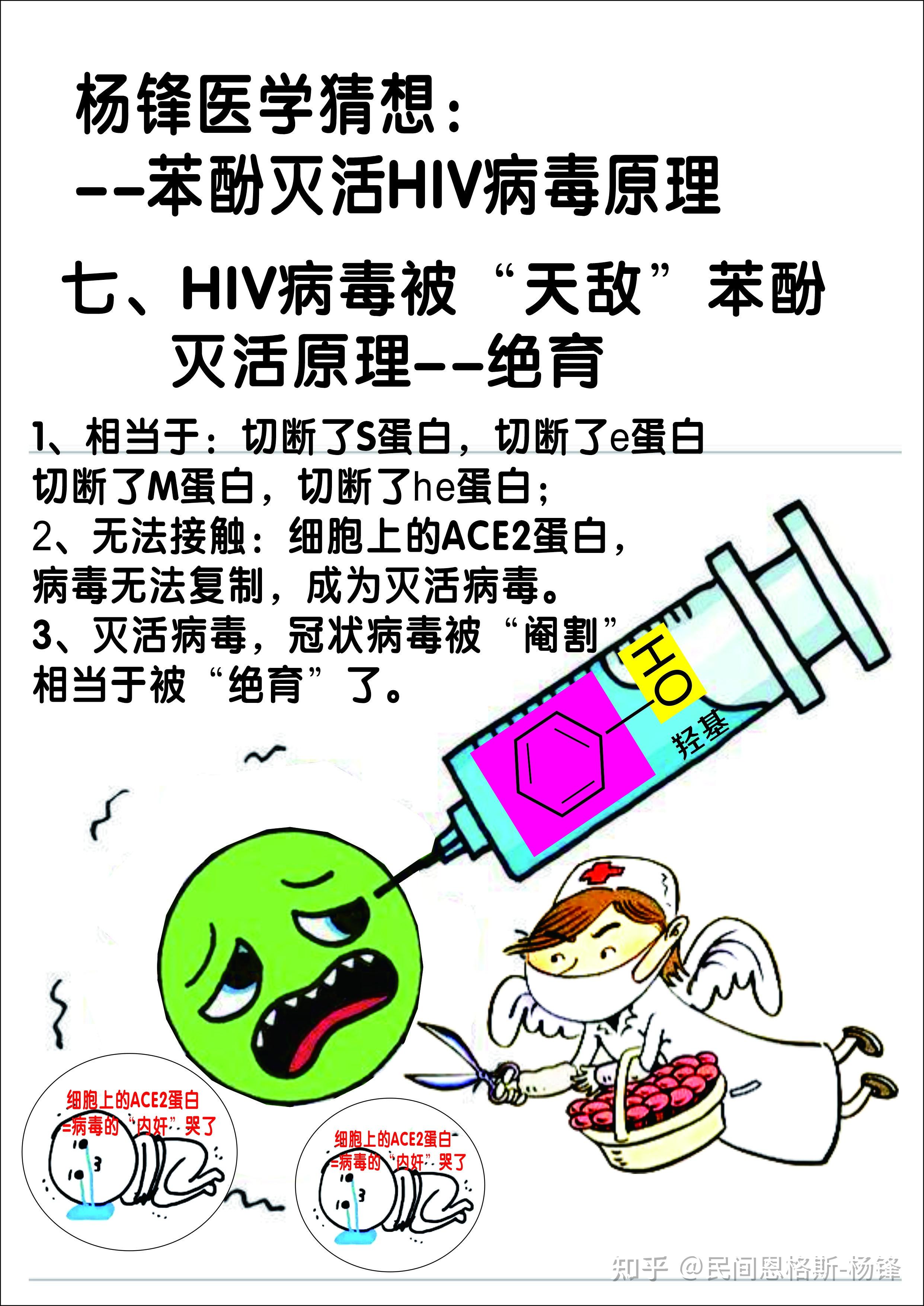 医学猜想假说苯酚灭活hiv艾滋病病毒的原理苯酚抗hiv艾滋病病毒的原理