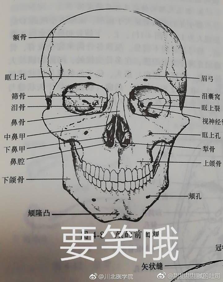 v2-767aaef8cda9d21bacd0dbd9dcbd6eec_r.jpg