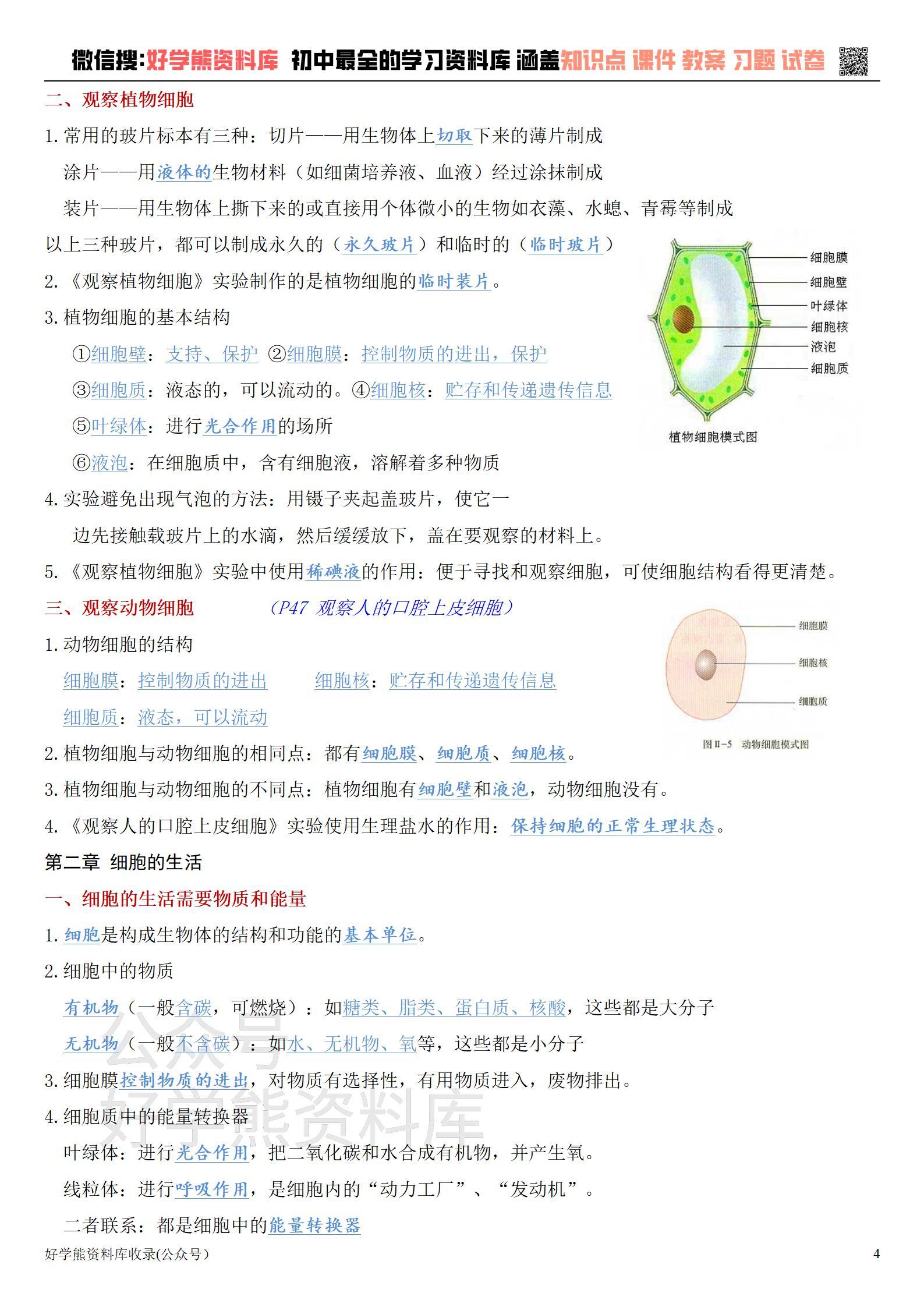 七年级上册生物概念图片