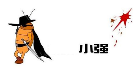 实盘打不死的小强