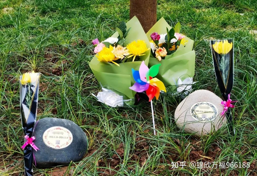 节地生态安葬，引领殡葬新风尚 - 知乎