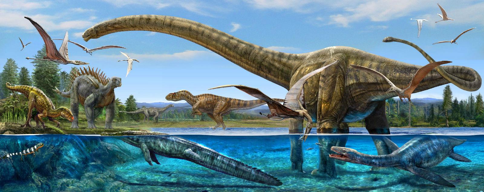 为什么翼龙不是恐龙? - 知乎