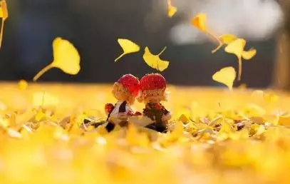 v2-769b8f23a109dfd8bc4940bf3ac23c50_1440w.jpg?source=172ae18b