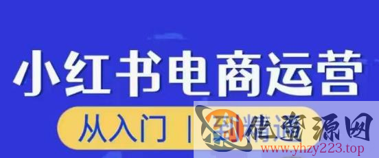 顽石小红书电商高阶运营课程，从入门到精通，玩法流程持续更新