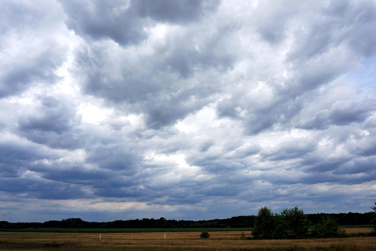 4. 天然氧吧环境