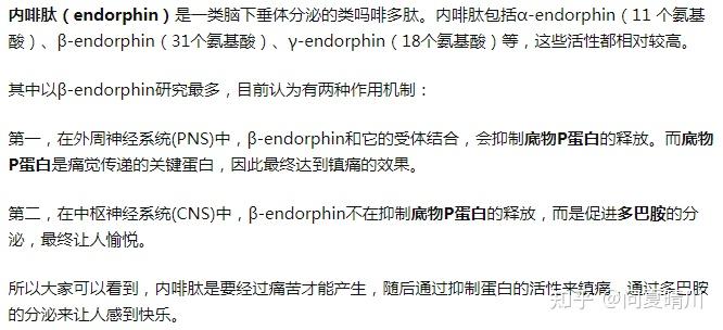 解開基因鎖的生物密碼內啡肽