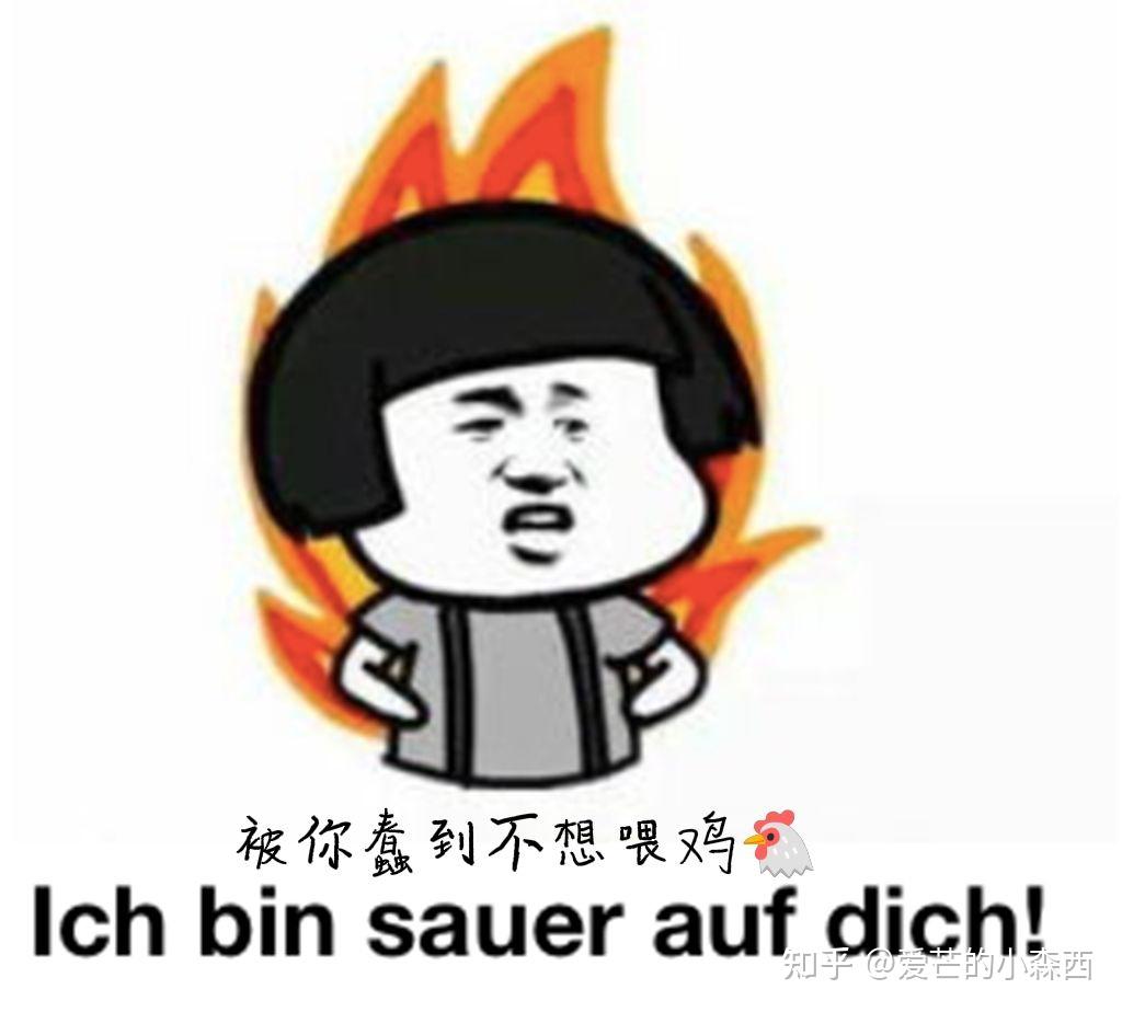 平淡无奇又智趣横生的德语表情包