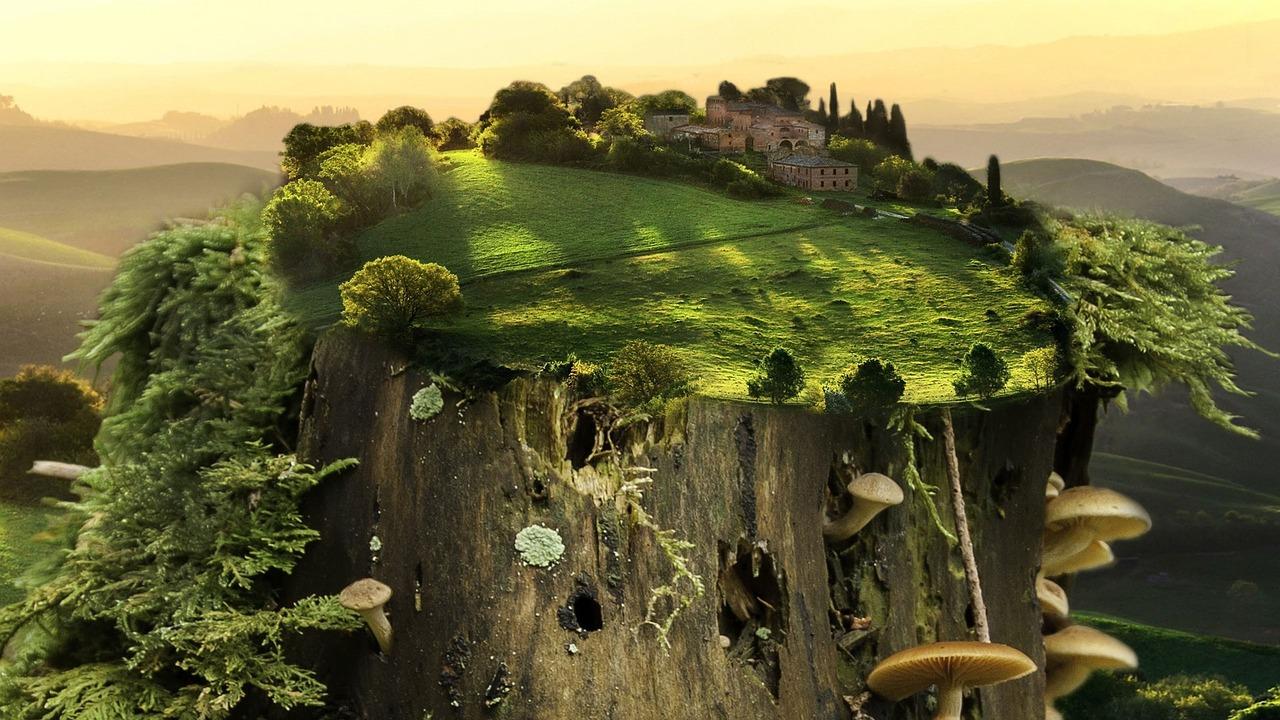 映山红花怎么养殖树桩