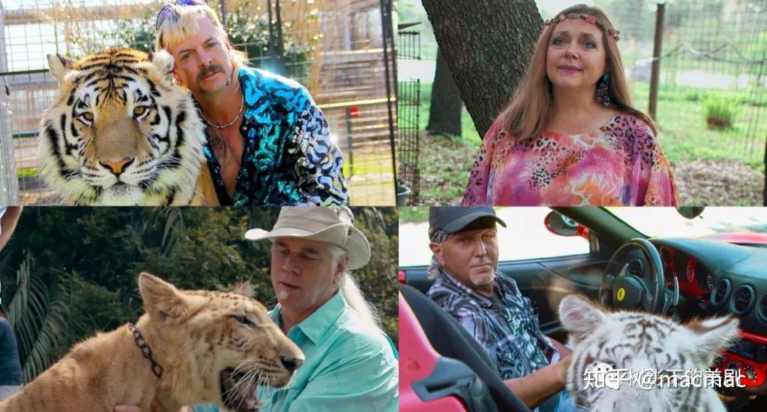 如何评价纪录片养虎为患tigerking